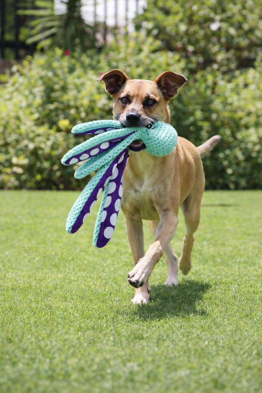 Squeaker Plush Dog Toy