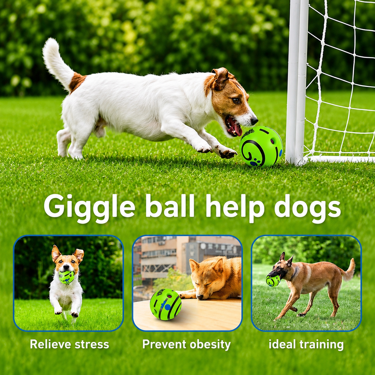 Interactive Giggle Ball