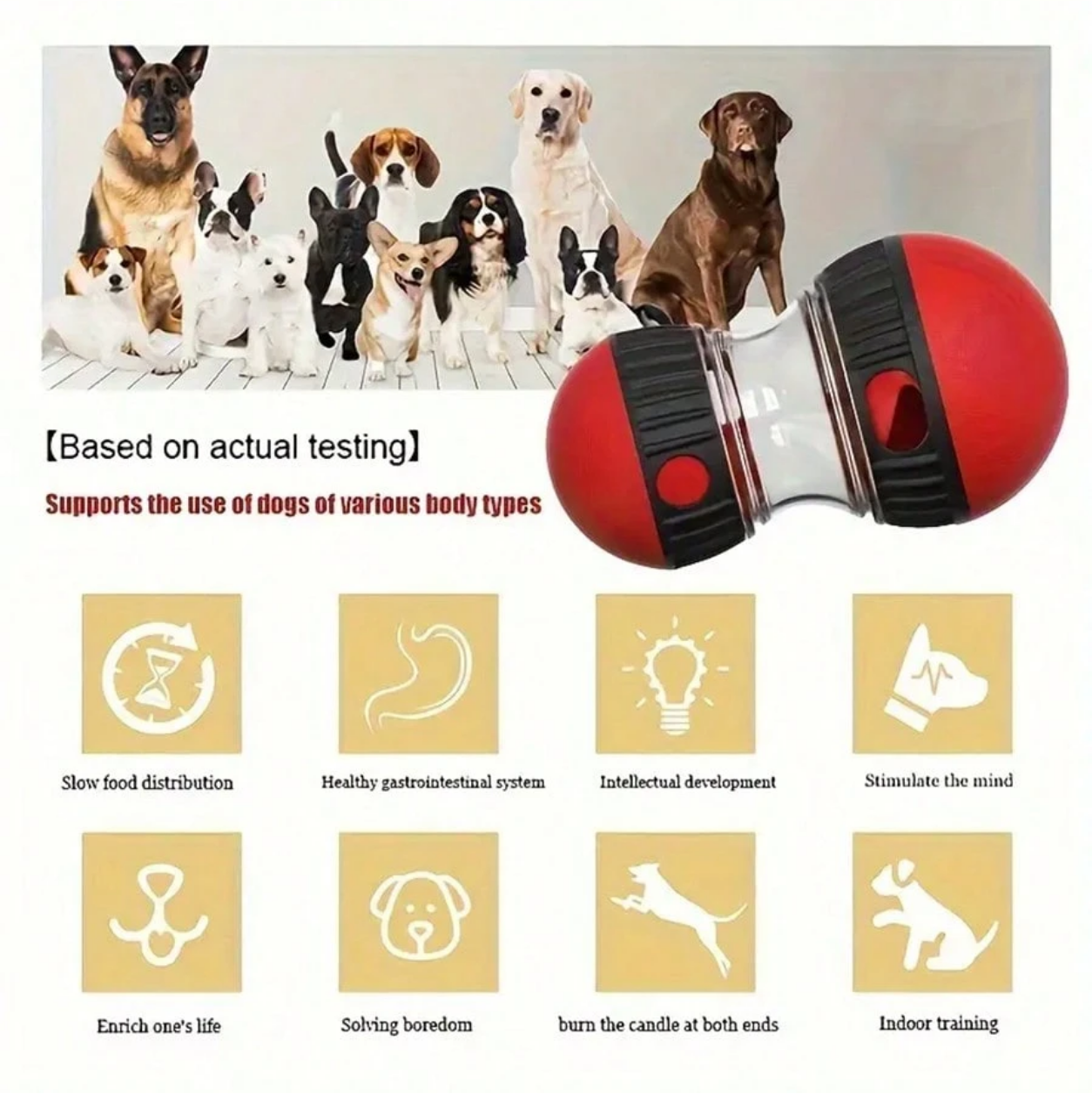 Interactive Treat Dispenser