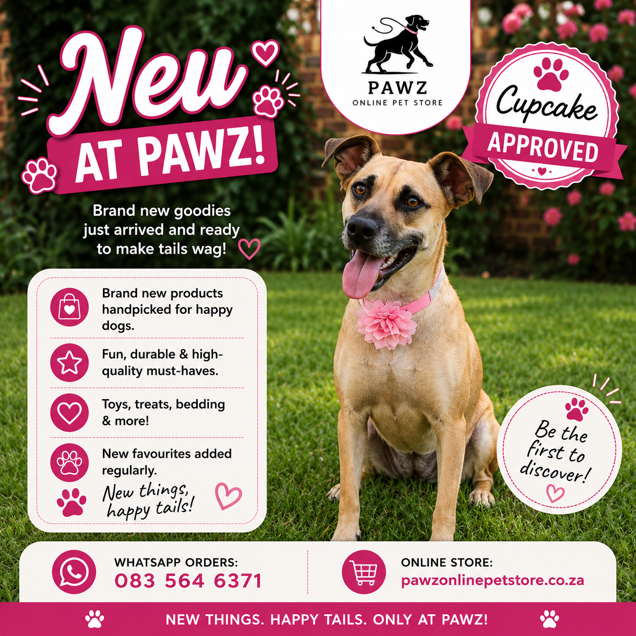 🐾 New at Pawz 🐾