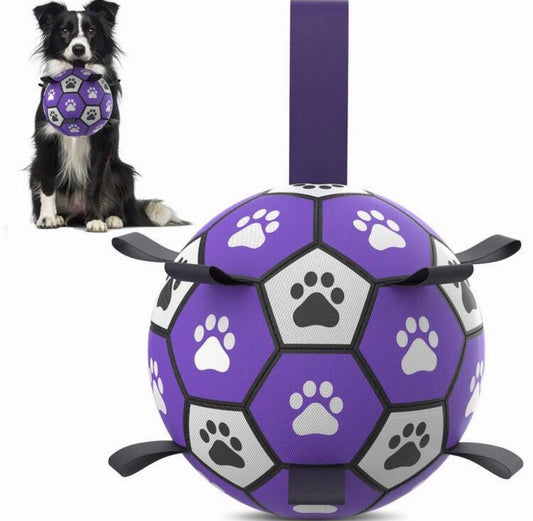 Interactive Dog Toy - Football