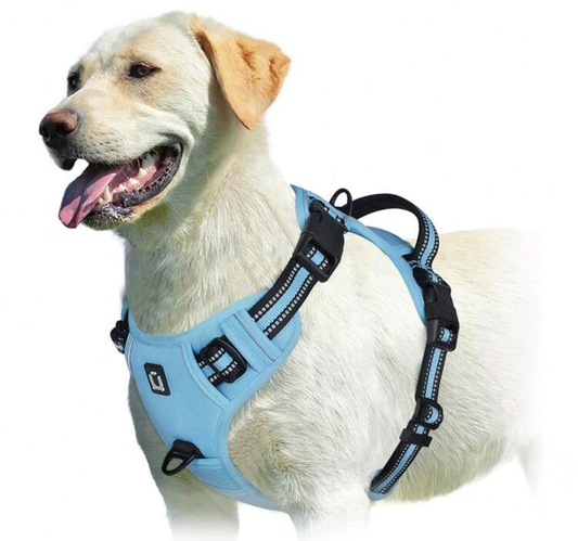 Sky Blue No-Pull Reflective Dog Harness