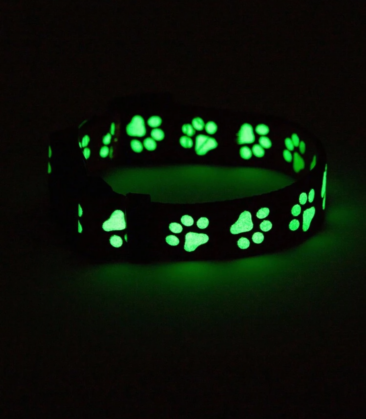 Glow-in-the-Dark Paw Print Dog Collar