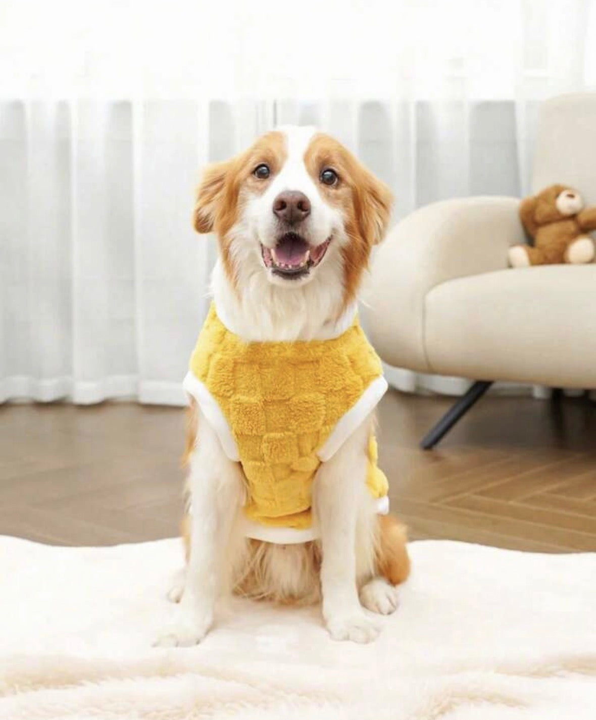 🐾 Cozy Plush Dog Vest
