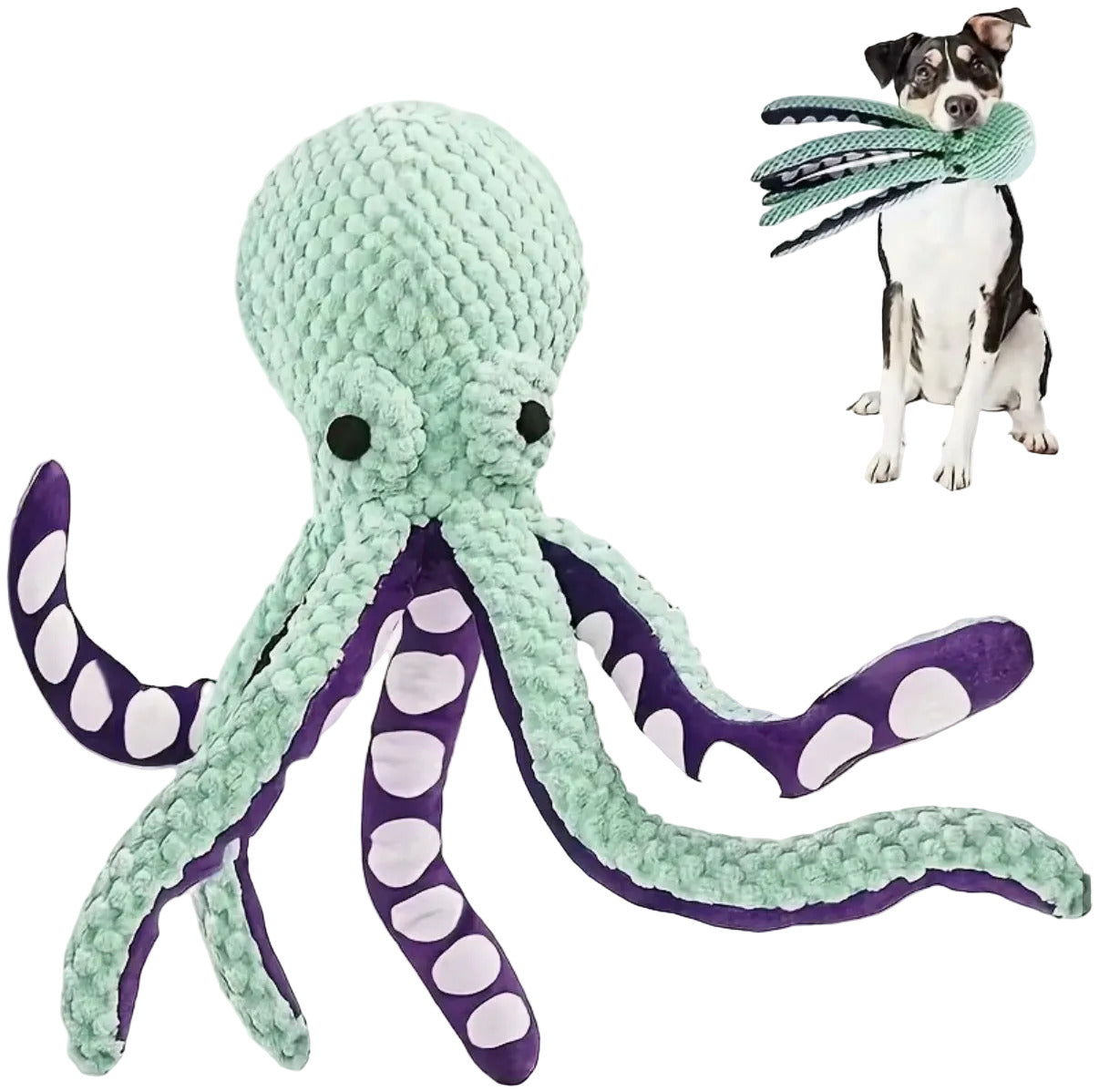Squeaker Plush Dog Toy