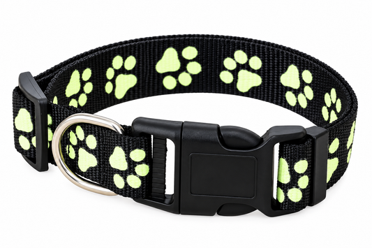 Glow-in-the-Dark Paw Print Dog Collar