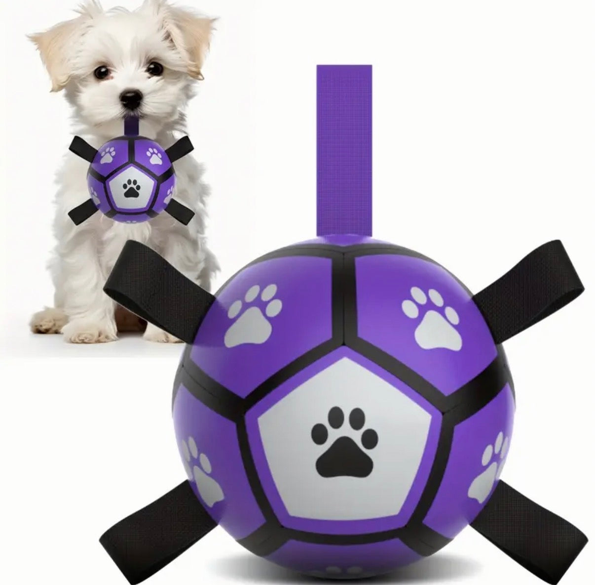 Interactive Dog Toy - Football