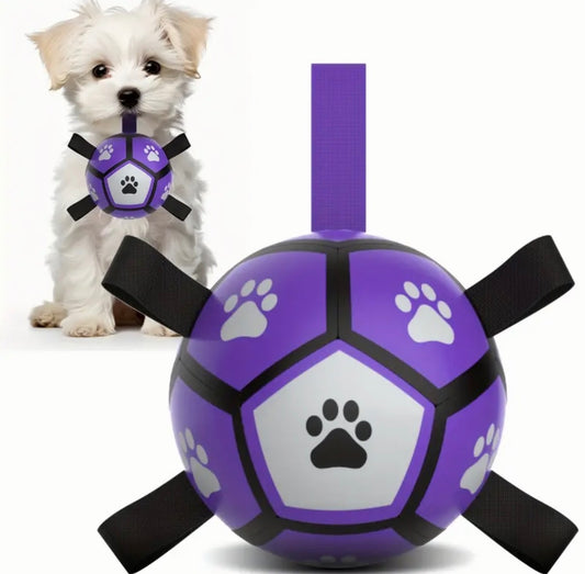 Interactive Dog Toy - Football