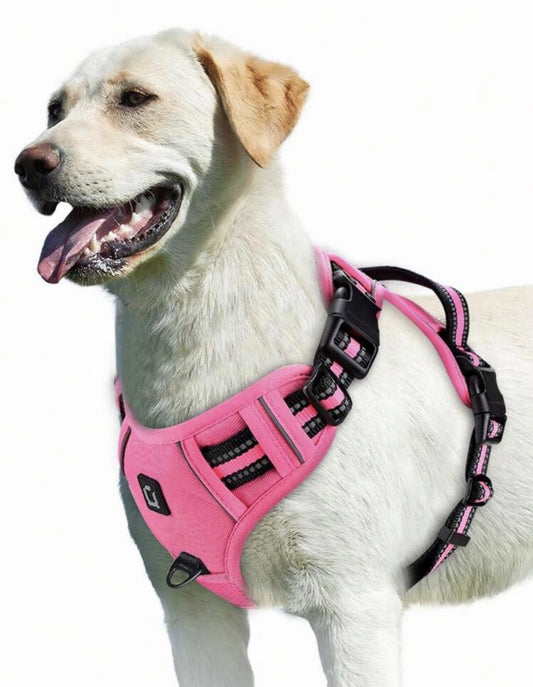 No-Pull Reflective Dog Harness & Rope Lead Set