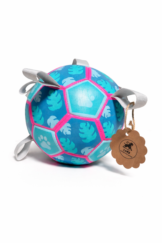 Interactive Dog Toy - Football