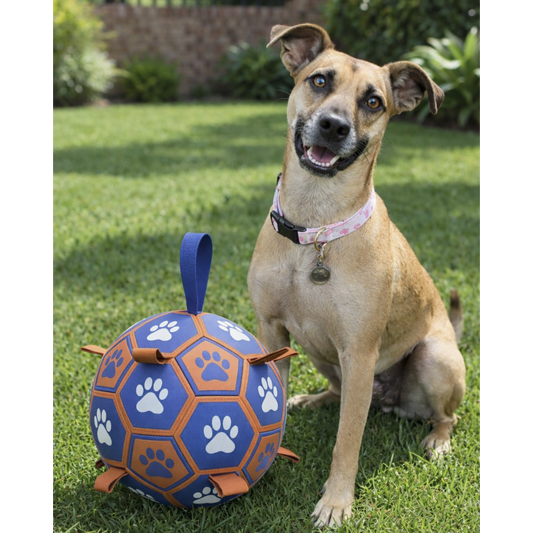 Interactive Dog Toy  Football