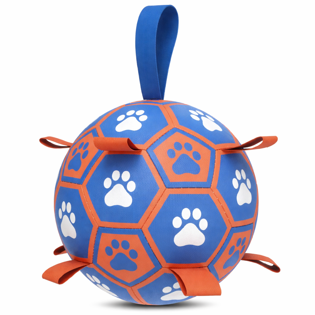 Interactive Dog Toy  Football