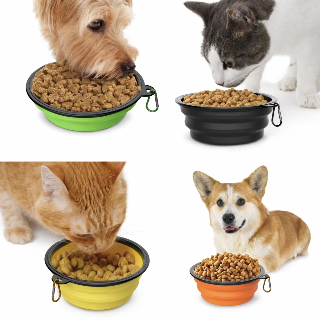 Pawz Collapsible Travel Pet Bowl