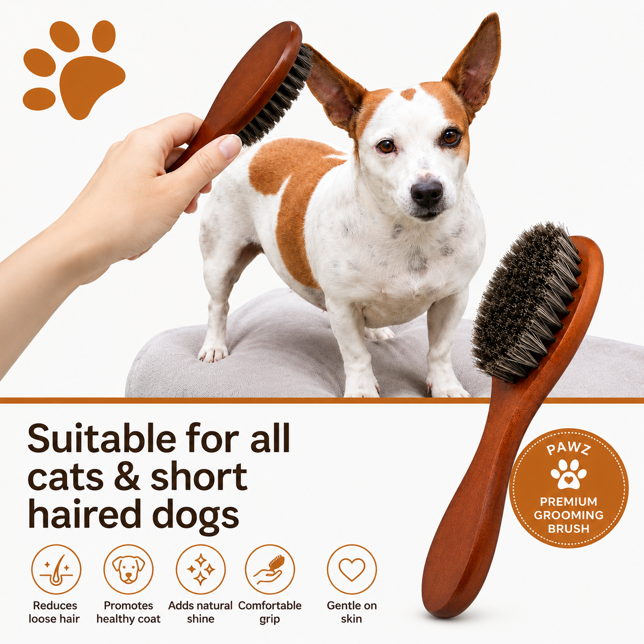 Premium Wooden Grooming Brush