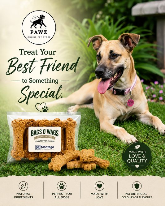 Bags O’ Wags Mighty Treats

Biscuits
