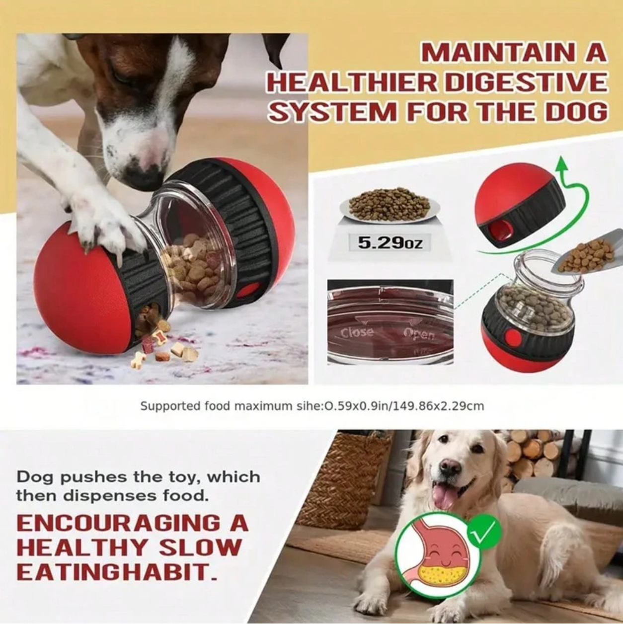 Interactive Treat Dispenser