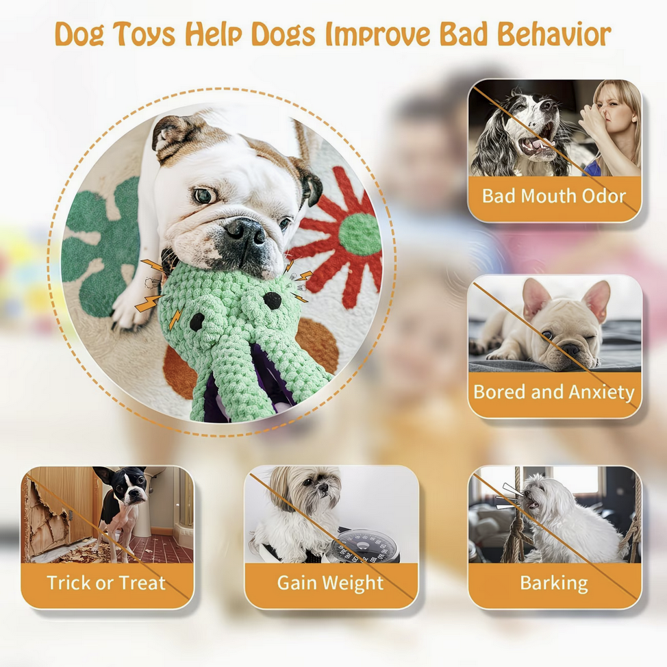 Squeaker Plush Dog Toy